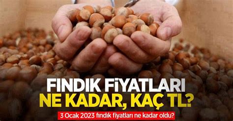 2024 Fındık Fiyatları
