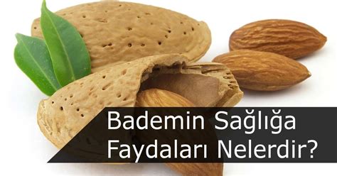 Bademin Dünyadaki Yaygınlığı