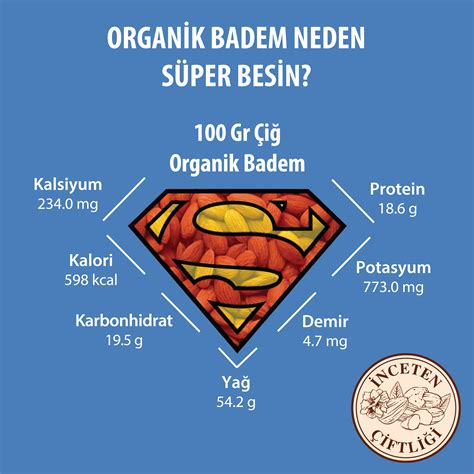 Bademin Günümüzdeki Kullanımı