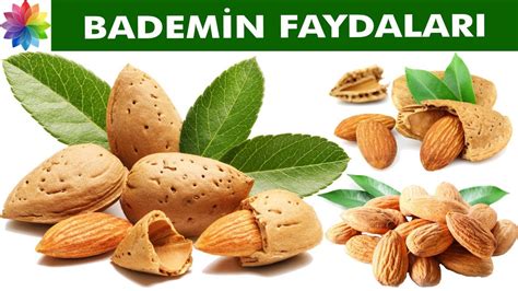 Bademin Sağlık Faydaları