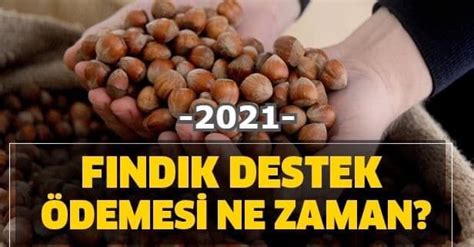 Findik Destekleme Ödemelerini Ne Zaman Alabilirsiniz? 2024 Rehberi Findik Destekleme Ödemelerini Ne Zaman Alabilirsiniz? 2024 Rehberi
