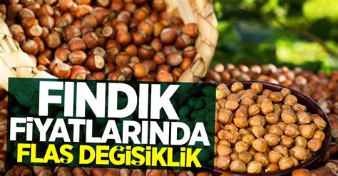 Fındık fiyatları son durum nedir?