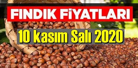 Fındık piyasası nasıl bir seyir izliyor?