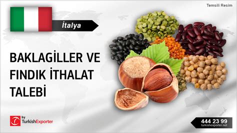 Fındık Talebi