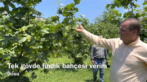 Hasat ve bakım