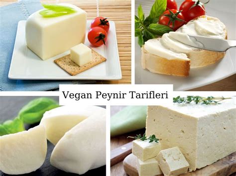 Kajudan yapılan vegan peynir tarifleri