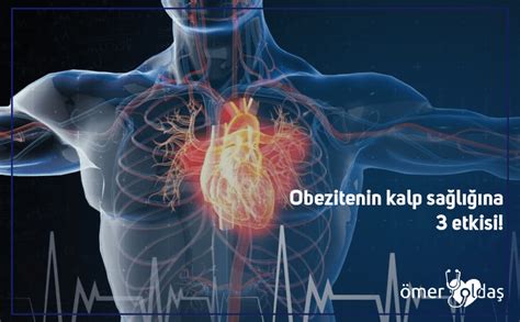 Kajunun Kalp Sağlığına Etkisi