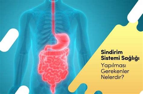 Kajunun Sindirim Sistemine Faydaları