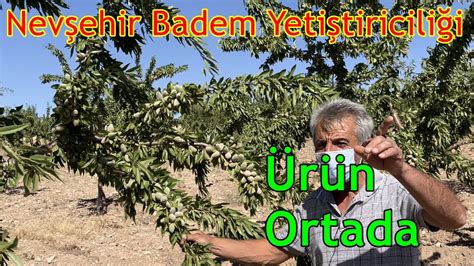 Badem ağaçlarının gübreleme yöntemleri