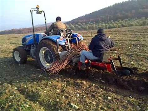 Badem fidanı seçimi ve dikimi