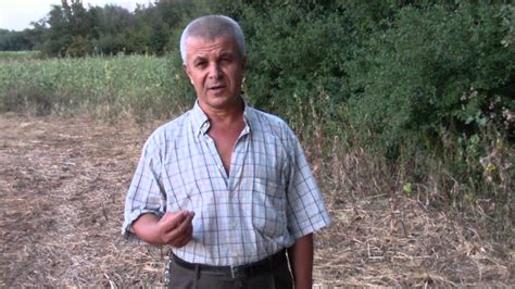 Badem ile Yapılan Geleneksel Şifa Yöntemleri: Halk Tıbbı Perspektifi