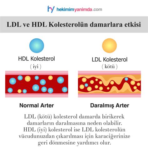 Badem ve Kolesterol Arasındaki İlişki