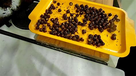Fındık şekerlemesi yapımında modern teknikler