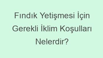 Fındık yetiştirmek için uygun iklim