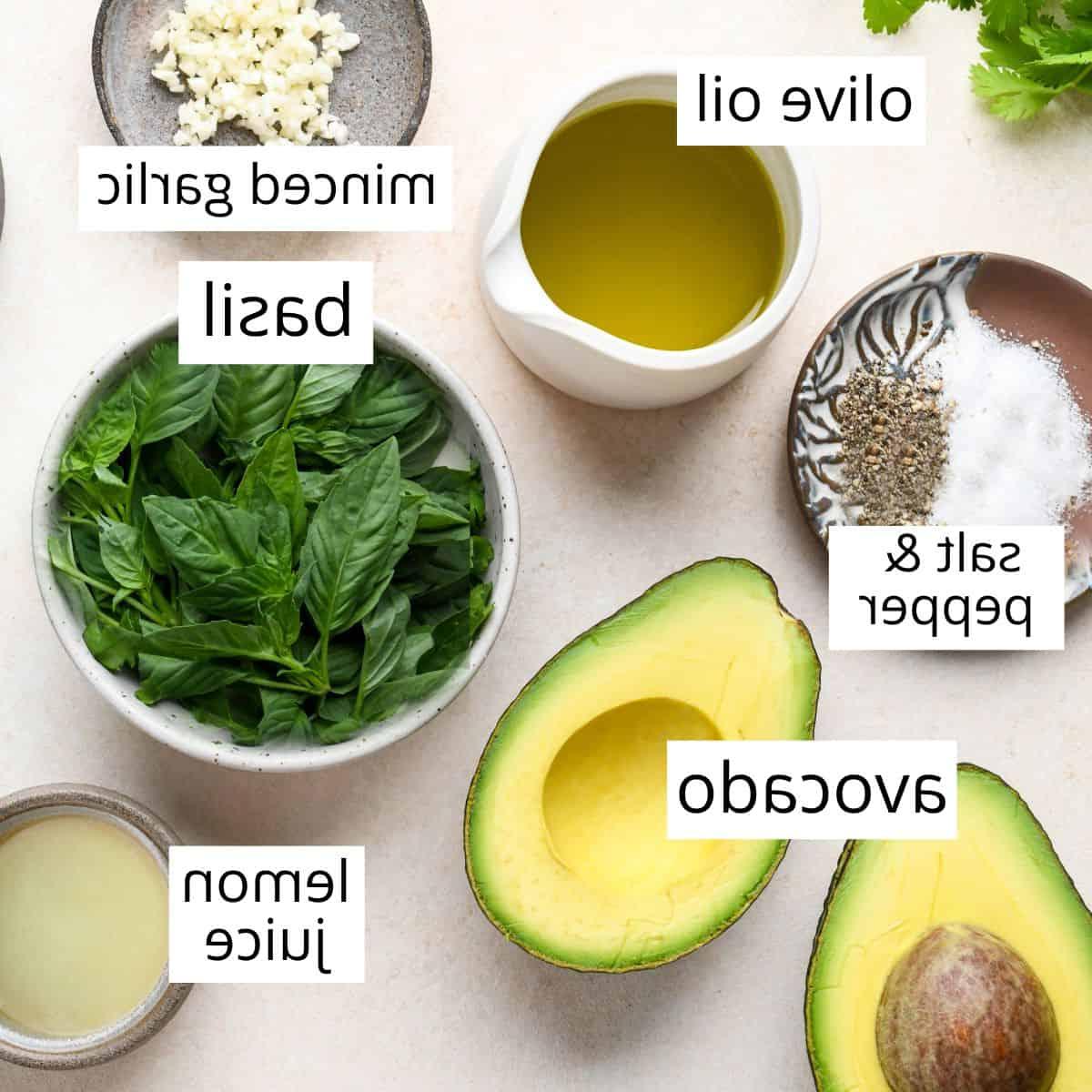 Φωτογραφία από πάνω των επισημασμένων υλικών αυτής της συνταγής για σάλτσα αβοκάντο για ζυμαρικά.