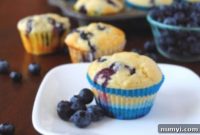 Luscious Blueberry Yogurt Muffins