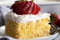 Tres Leches Cake