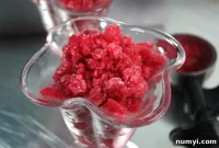 Vibrant Blood Orange Granita