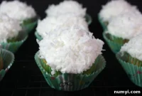 Tropical Coconut Treats