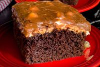 The Easiest Mississippi Mud Cake