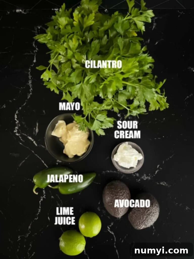 Creamy avocado, cilantro, jalapeno, and other ingredients for the rich sauce.