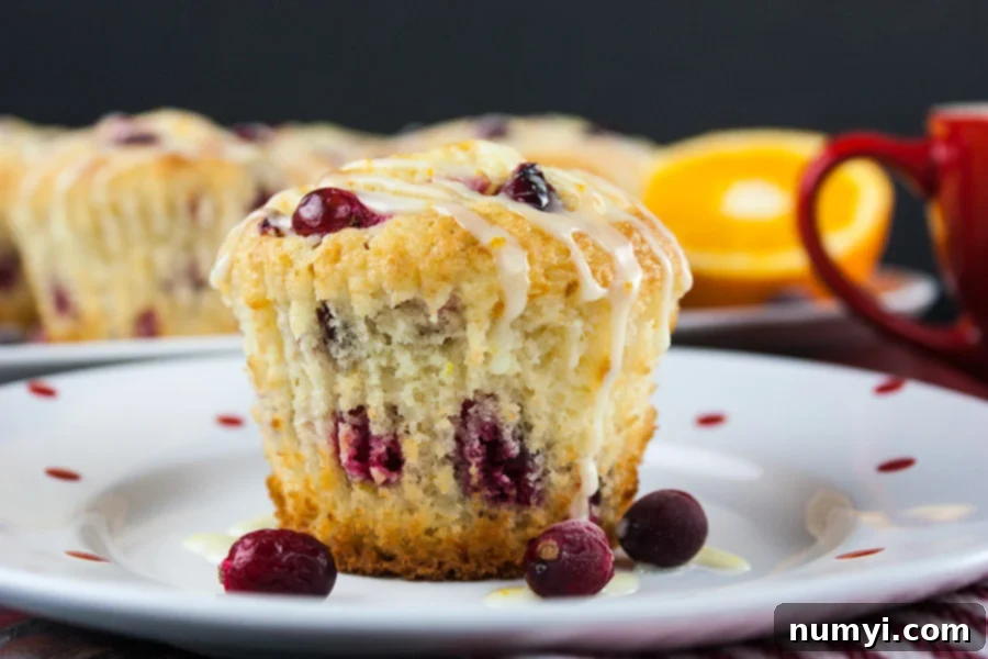 Cranberry orange muffins on a white plate with red dots.