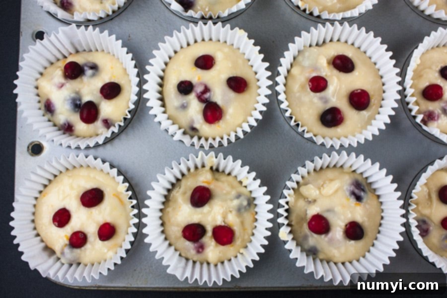 Cranberry orange muffin batter in large white liners in muffin tin.