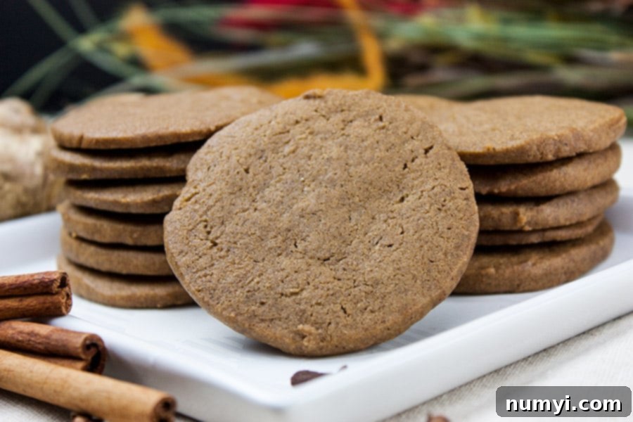 Gingersnap cookies stacked on a white plate, showcasing their crisp edges and warm color.