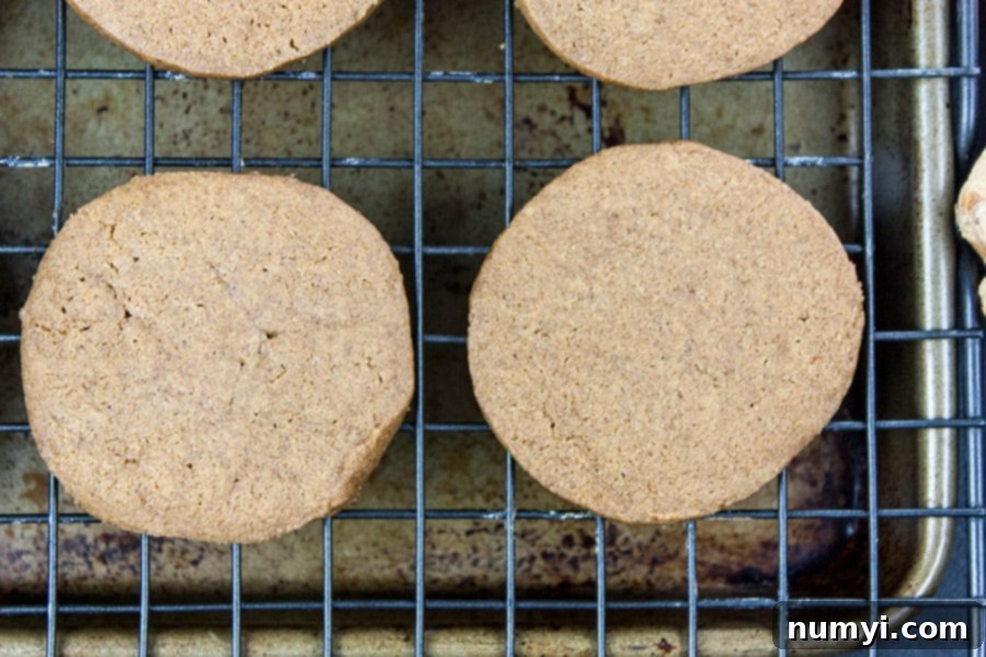 Crispy Gingersnap Cookies freshly baked and cooling on a wire rack.