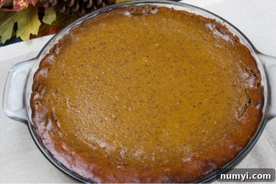 baked gingersnap crust pumpkin pie in a glass pie pan