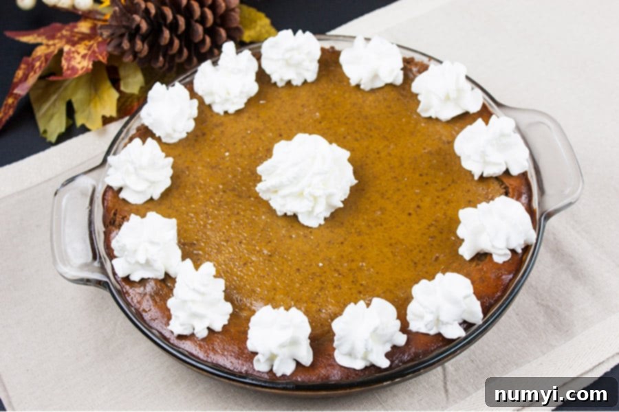 gingersnap crust pumpkin pie garnished with whipped cream topping in a glass pie dish