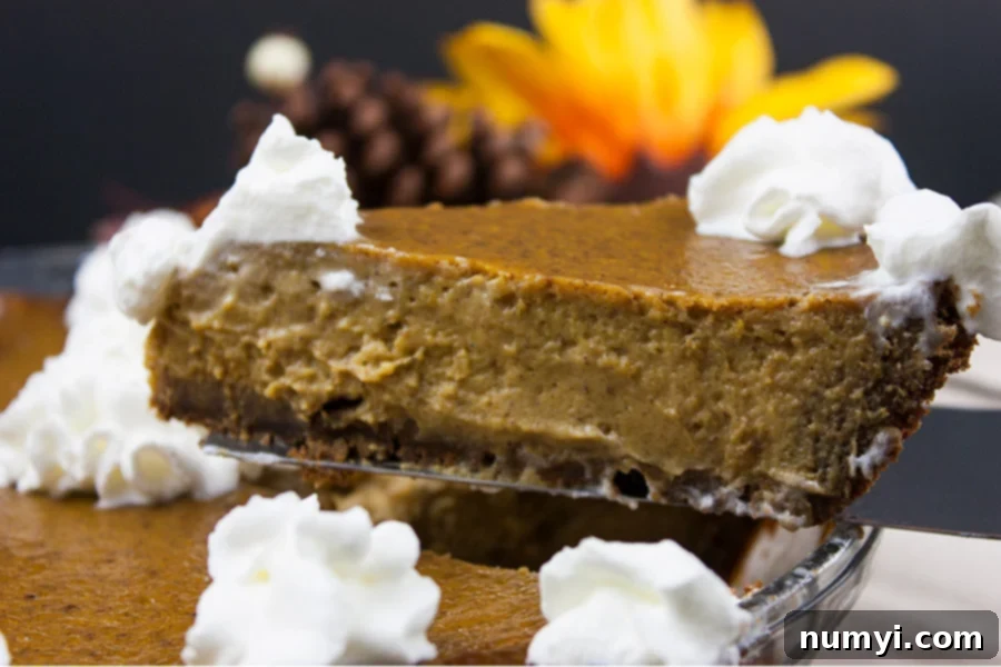 serving slice of gingersnap crust pumpkin pie lifted above the whole pie