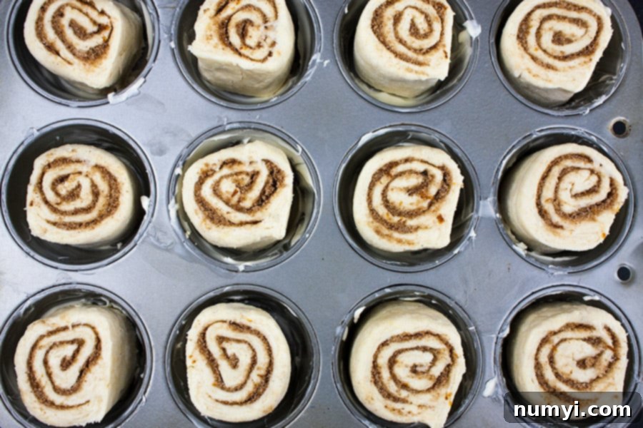 Sticky Buns 6 Morning bun dough pieces arranged neatly, cut-side down, in a buttered 12-cup muffin tin, ready for refrigeration.