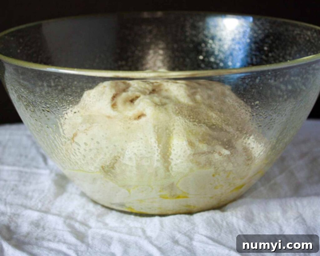 Naan dough in a greased glass bowl.