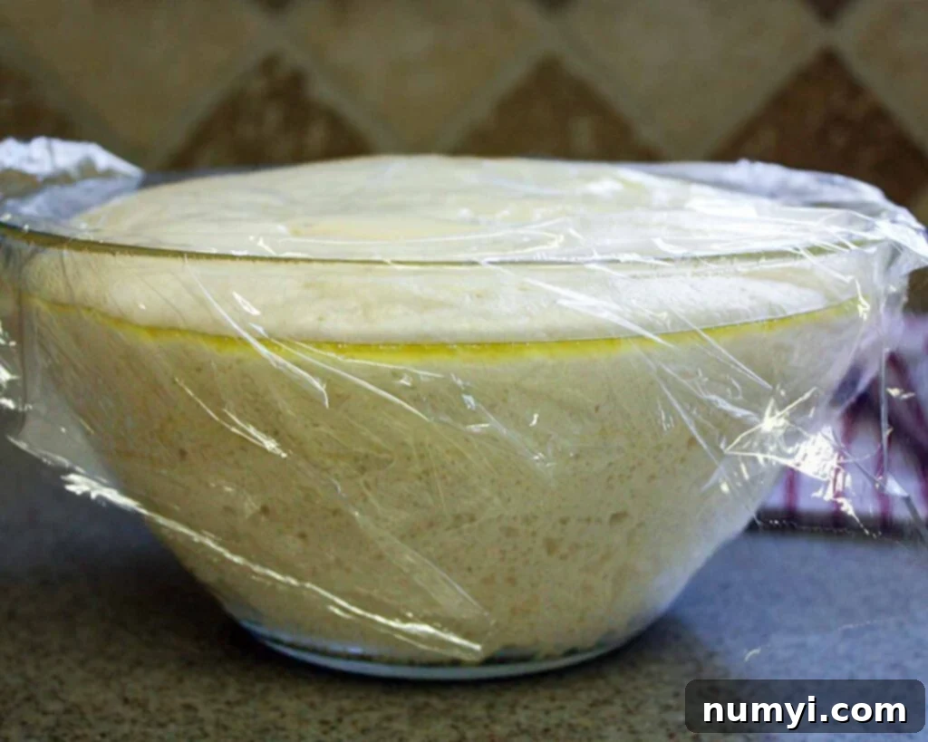 Risen naan dough in a greased glass bowl.