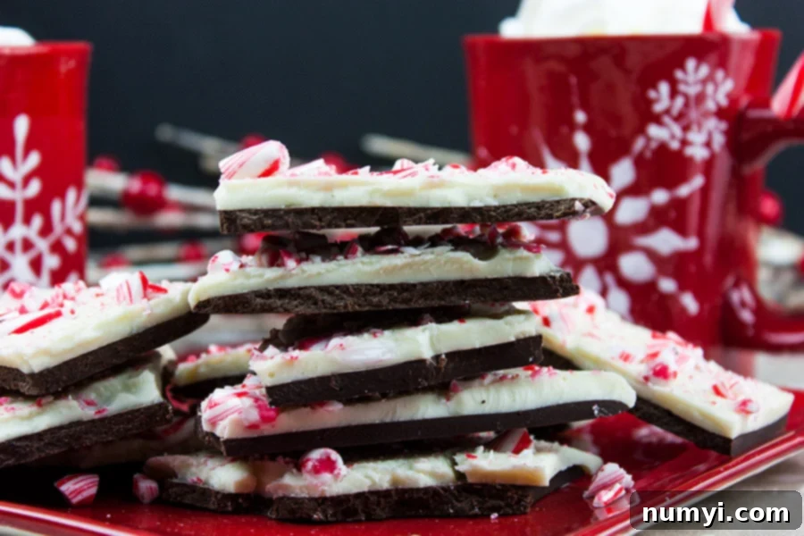 Dark chocolate peppermint bark recipe easy Christmas candy treat dessert.