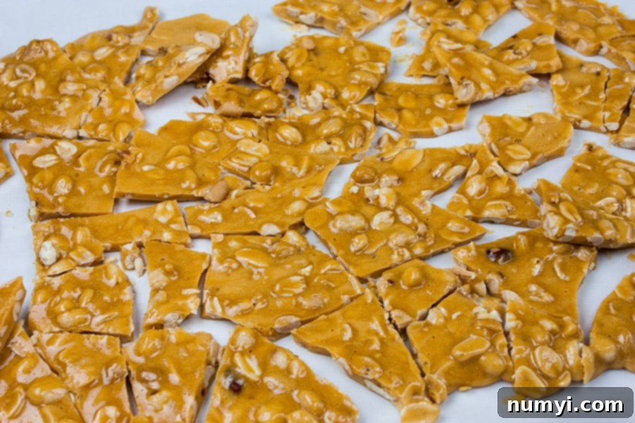 Classic Homemade Peanut Brittle 6 Crisp, golden peanut brittle broken into irregular, mouth-watering pieces, artfully arranged on parchment paper.