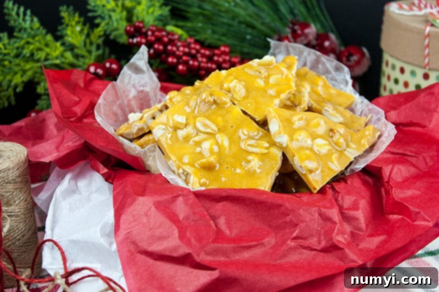 Classic Homemade Peanut Brittle 8 Rustic, broken pieces of old-fashioned peanut brittle artfully arranged in a charming tin, ready for a special gift.