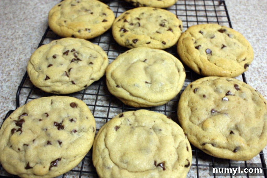 Freshly baked chewy chocolate chip cookies cooling on a wire rack.