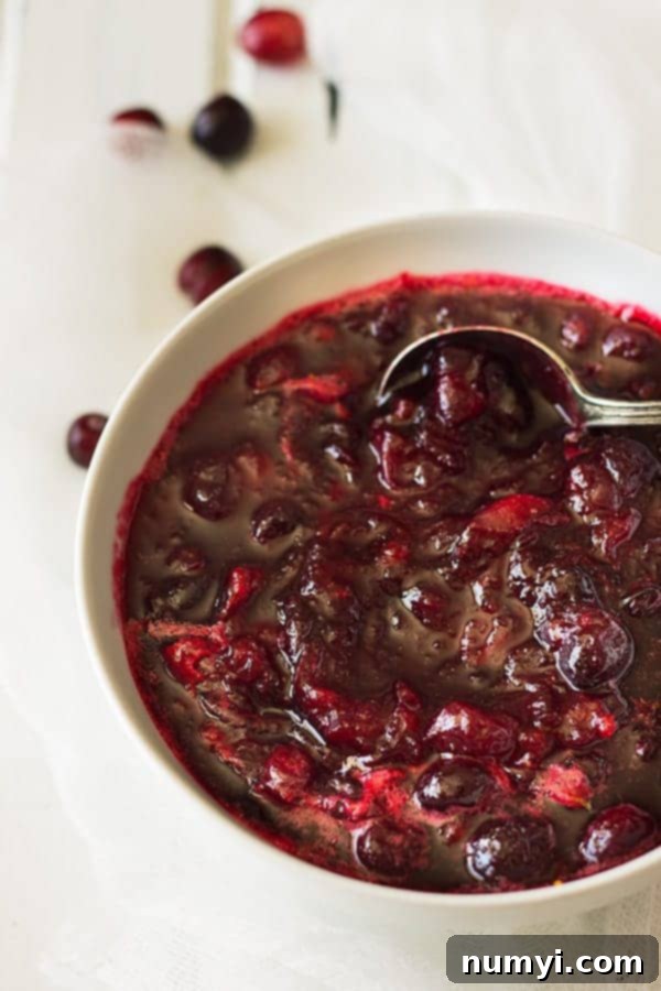 This easy Cranberry Pomegranate Sauce is a simple recipe made in about 15 minutes! | www.countrysidecravings.com