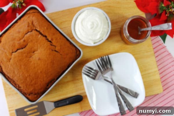 Freshly baked gingerbread cake cooling in a square pan, ready to be served.