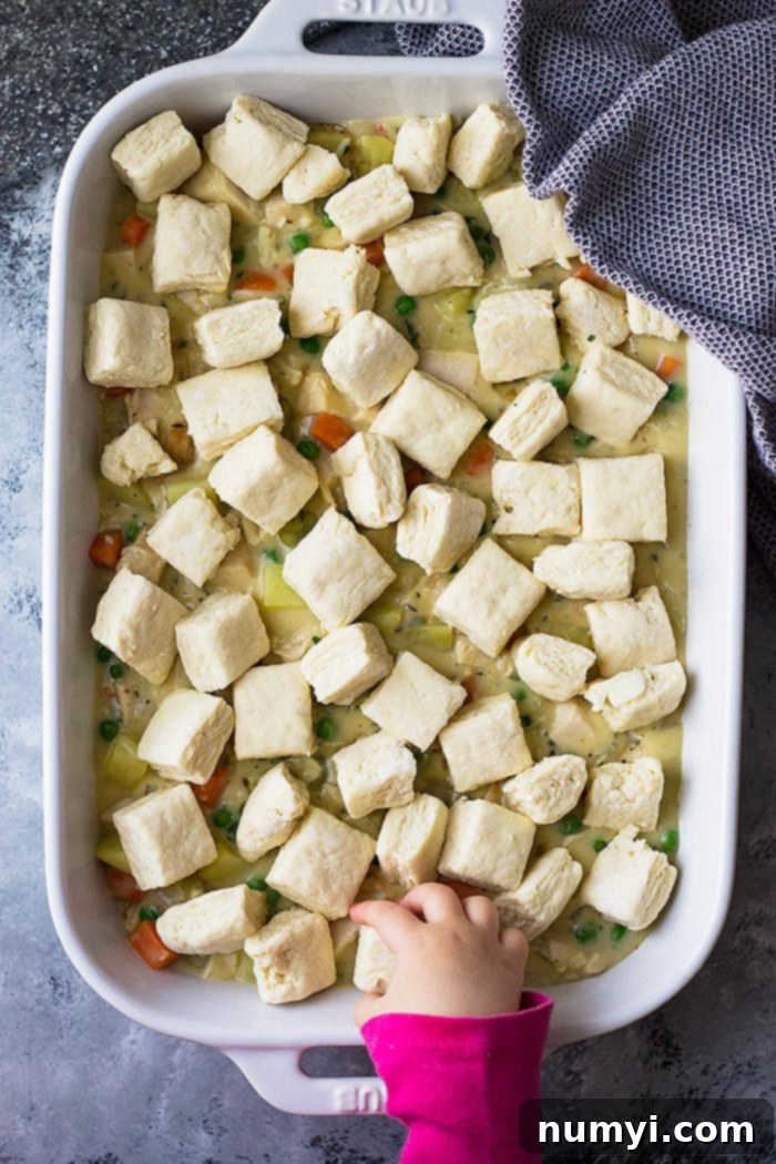 Homestyle Chicken & Biscuit Pot Pie 5 Chicken pot pie casserole topped with uncooked biscuit dough cubes, ready for baking.