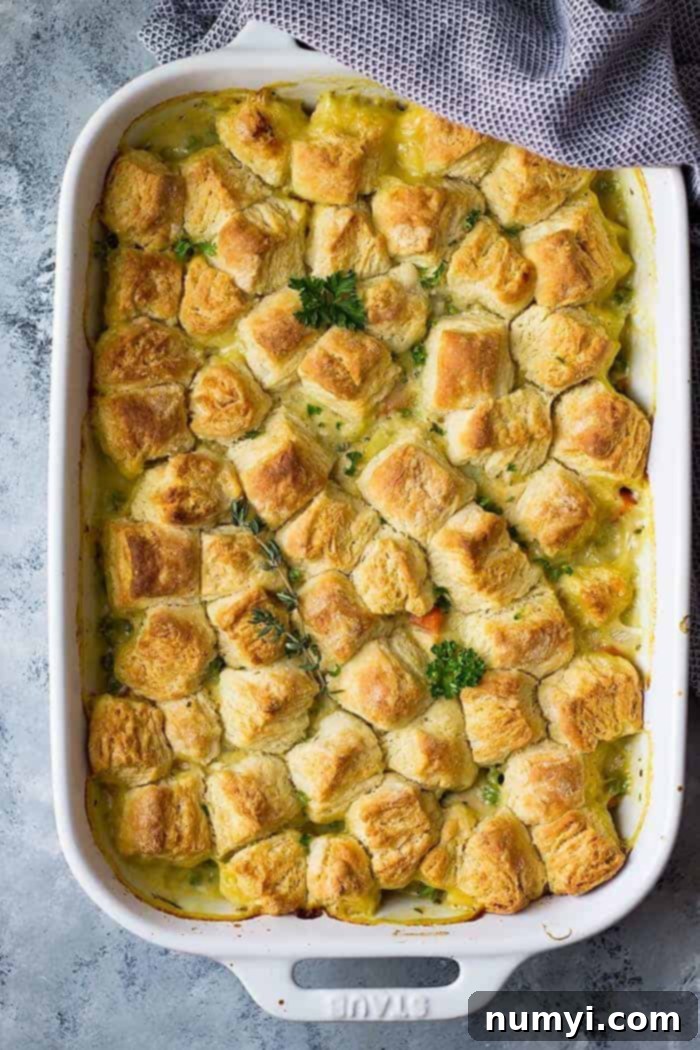 Homestyle Chicken & Biscuit Pot Pie 6 Golden brown chicken pot pie with flaky biscuits in a white baking dish, fresh from the oven.