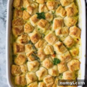 Homestyle Chicken & Biscuit Pot Pie 7 This homemade Chicken Pot Pie with Biscuits is a great way to use leftover chicken, turkey, herbs and veggies you may have hiding in the back of your fridge!