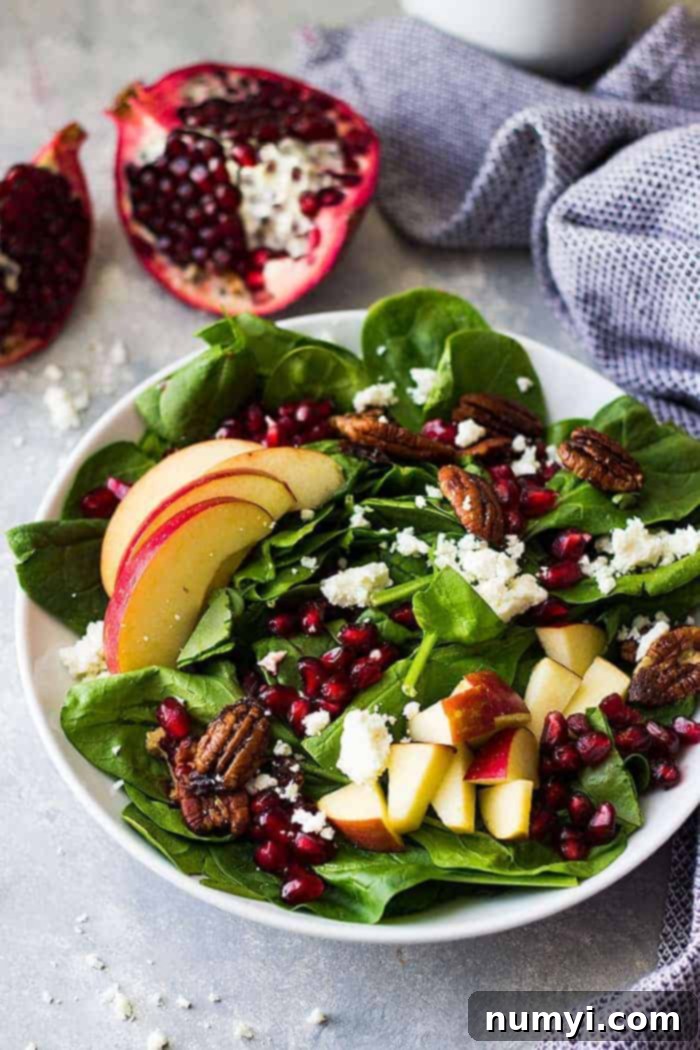 Closeup of a beautiful Harvest Salad with crisp apples, crunchy candied pecans, tangy feta, ruby red pomegranate arils, and fresh spinach in a white bowl, ready to be served.