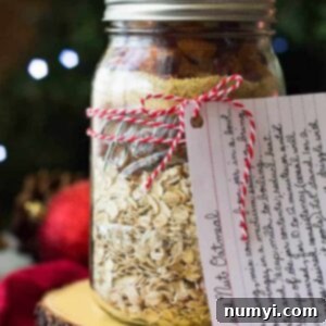 A mason jar filled with layers of fruit and nut oatmeal mix, presented as a thoughtful Christmas gift.