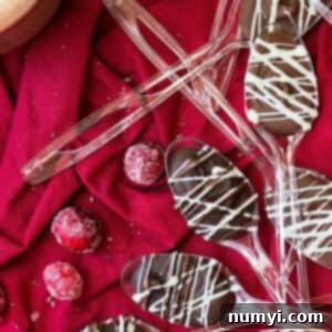 These DIY Chocolate Spoons are a great Christmas gift! They add the perfect special touch to a cup of hot chocolate or coffee!!