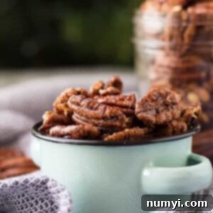 Sweet and Spicy Pecans, ready for a delicious snack.