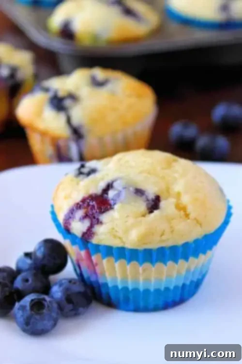 Luscious Blueberry Yogurt Muffins 2 Delicious Blueberry Yogurt Muffin with fresh blueberries on a plate