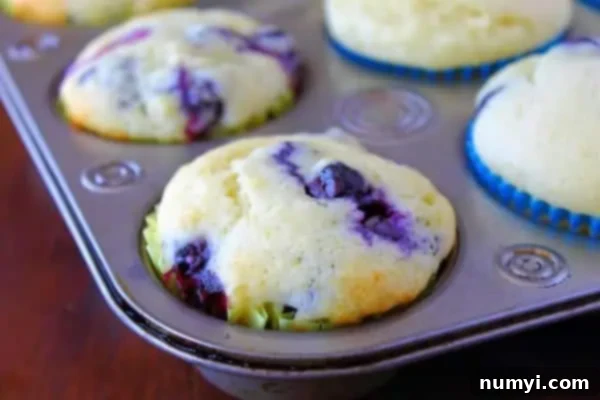 Luscious Blueberry Yogurt Muffins 3 Closeup of a muffin tin filled with freshly baked Greek yogurt muffins